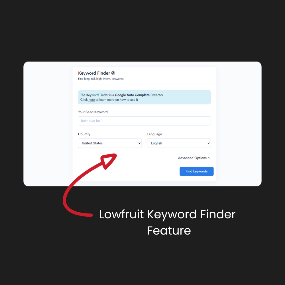 Lowfruit keyword finder feature